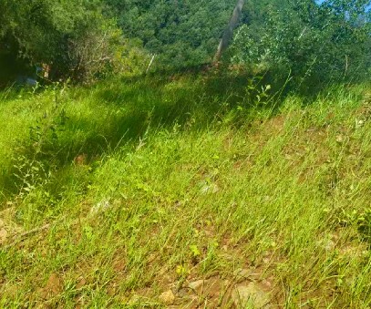 柳關(guān)欒盧鉛鋅礦|治理排土“瘡疤”，繪就綠色畫卷